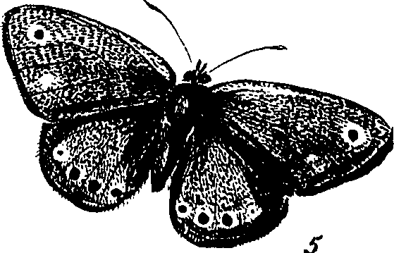 116/116510020100710_1.png