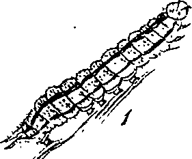 116/116510020100710_2.png