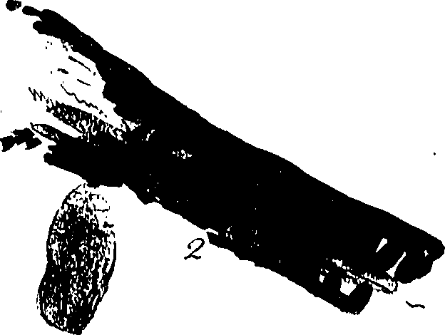 116/116510020100740_0.png