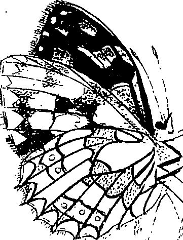 116/116510020100740_1.png