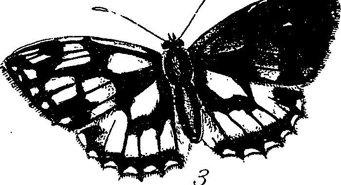 116/116510020100740_2.png