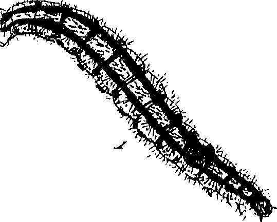 116/116510020100770_0.png