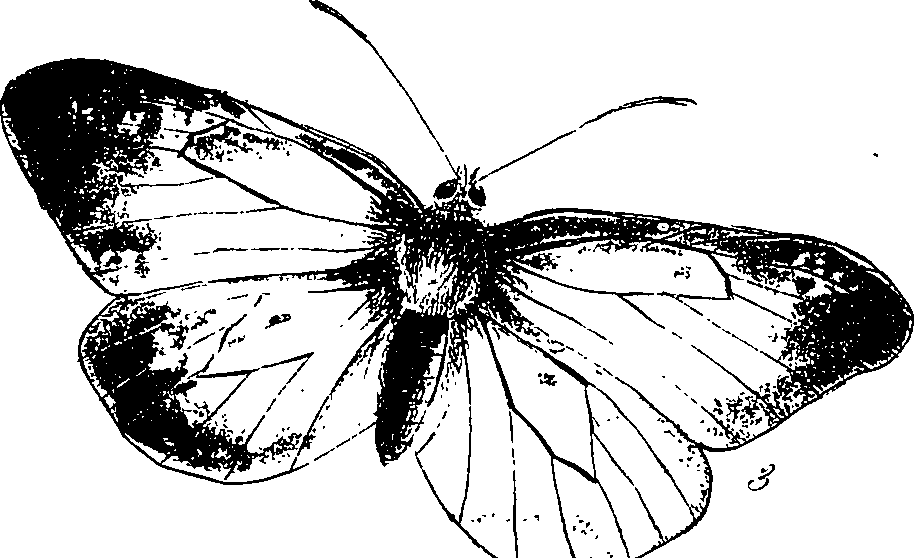116/116510020100770_1.png