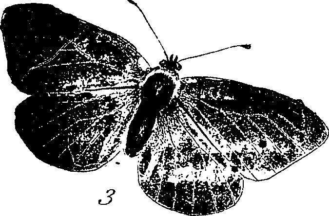 116/116510020100830_0.png