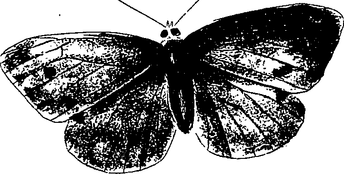 116/116510020100860_0.png