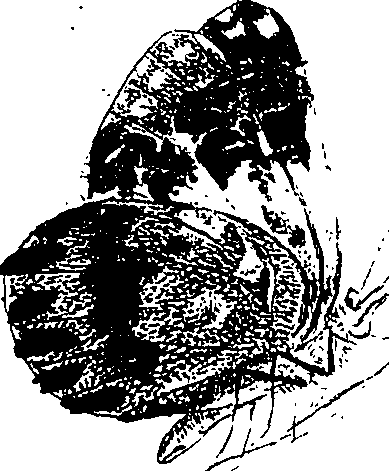 116/116510020100890_0.png