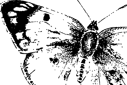 116/116510020101010_0.png