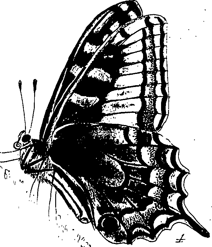 116/116510020101040_0.png