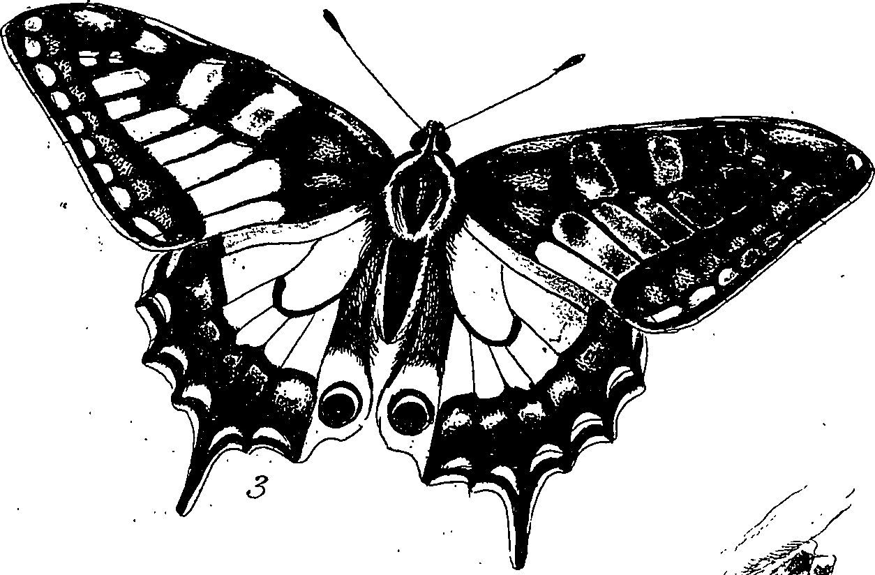 116/116510020101040_1.png
