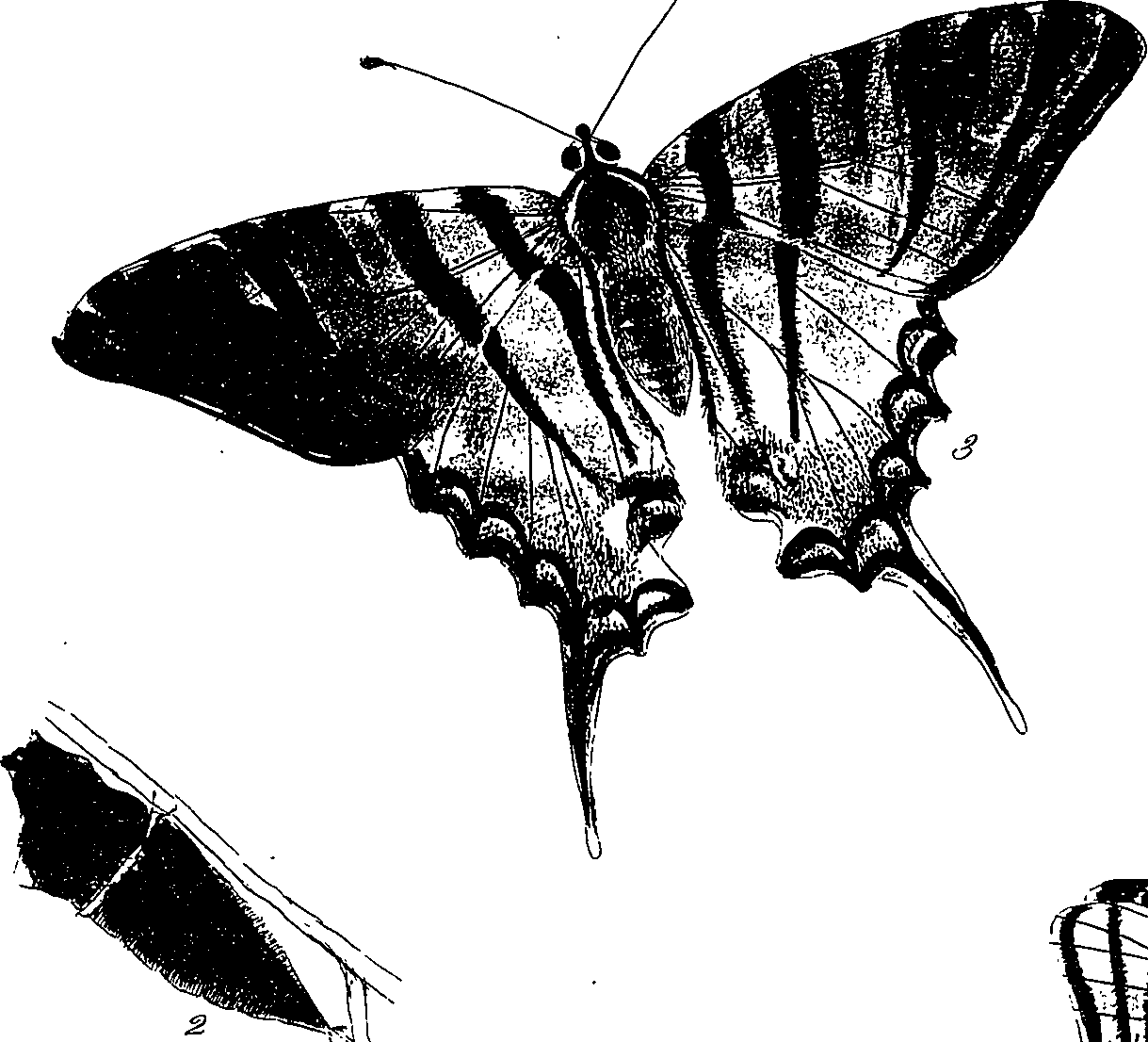 116/116510020101070_0.png
