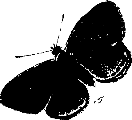 116/116510020101100_0.png