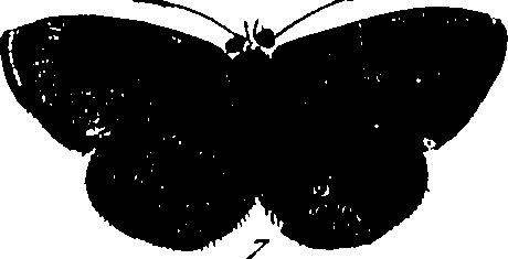 116/116510020101160_0.png