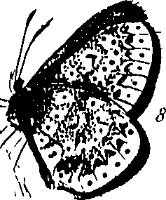116/116510020101160_1.png
