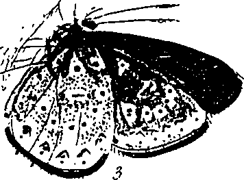 116/116510020101160_2.png