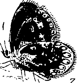 116/116510020101190_0.png