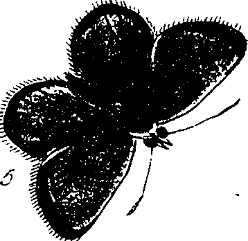 116/116510020101190_1.png