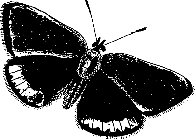 116/116510020101220_0.png