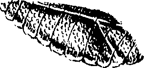 116/116510020101280_0.png