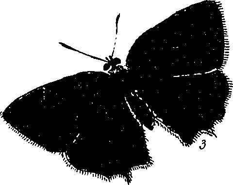 116/116510020101310_0.png