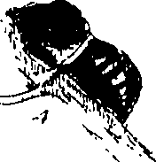 116/116510020101340_0.png