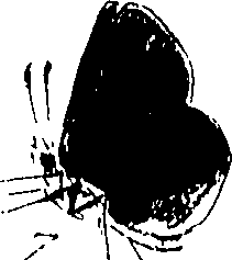 116/116510020101370_0.png
