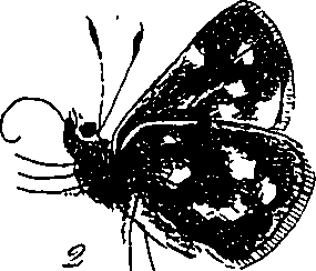 116/116510020101370_1.png