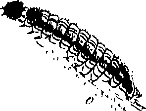 116/116510020101400_0.png