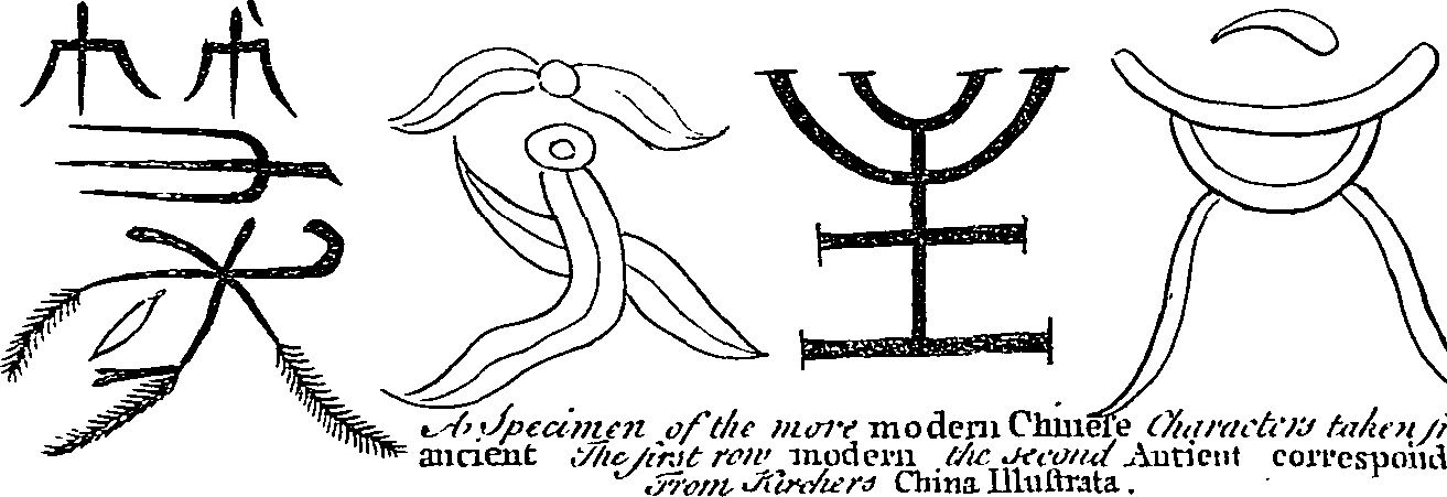 116/116560010204070_0.png