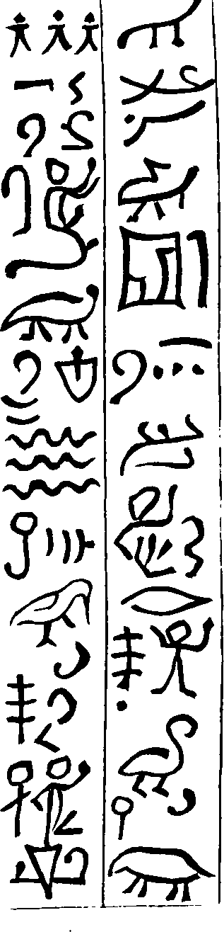 116/116560010204460_0.png