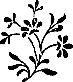 116/116700010004070_0.png