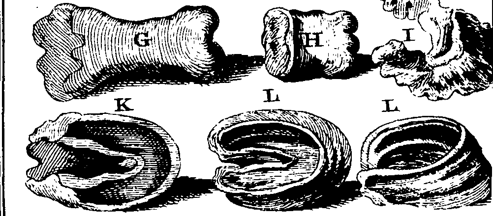 116/116800010000340_0.png
