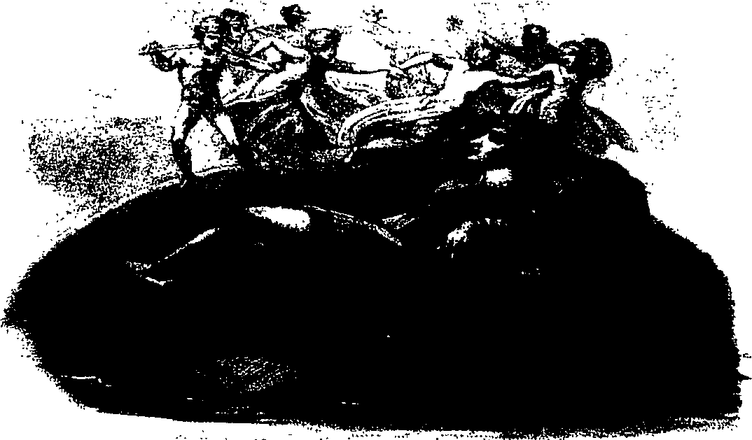 116/116800060000310_0.png