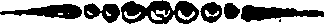 116/116820070000010_0.png