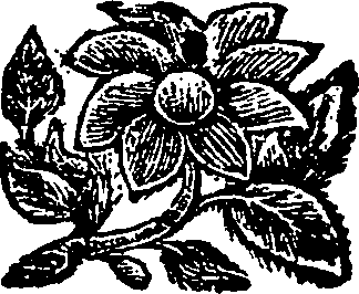 116/116840020203240_0.png