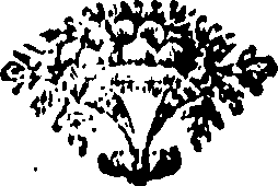116/116890070000100_0.png