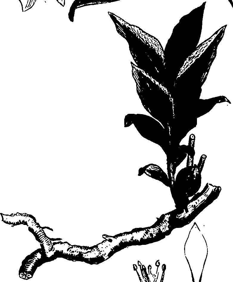 116/116900030000060_0.png
