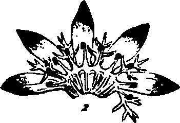 116/116900030000150_0.png