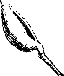 116/116900030000400_0.png
