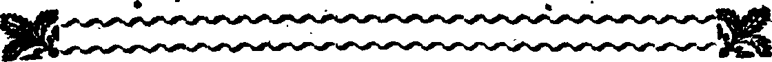 116/116990060000050_2.png