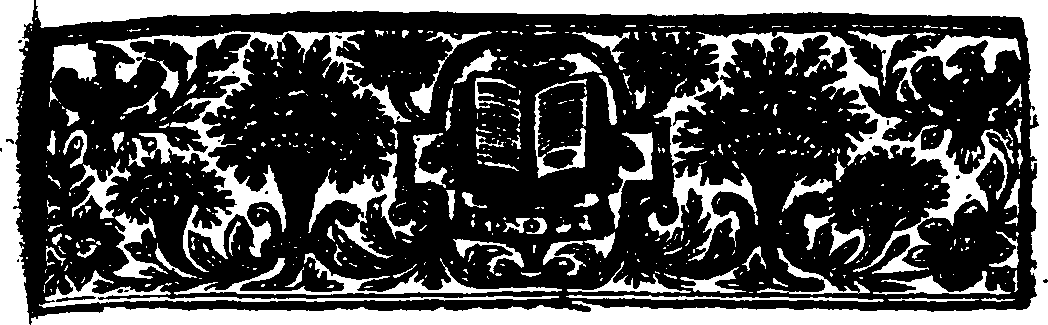 117/117010010100920_1.png