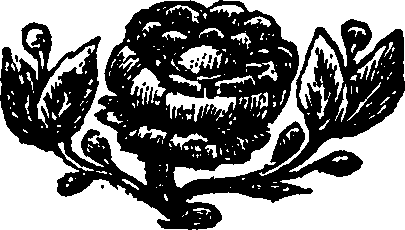 117/117010010101890_1.png