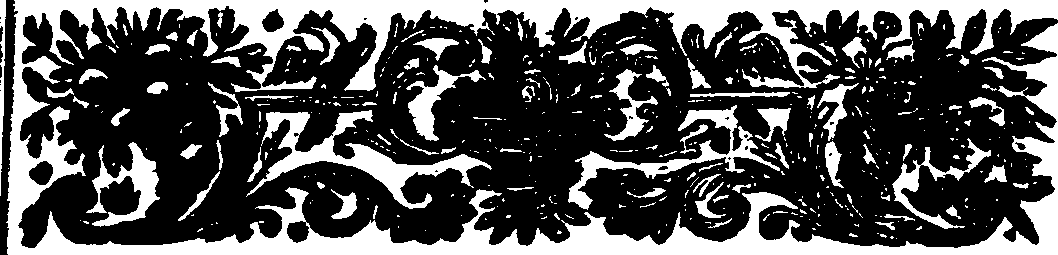 117/117010010104840_2.png
