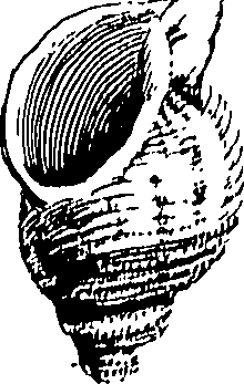 117/117040030003240_0.png