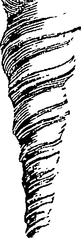 117/117040030003240_1.png