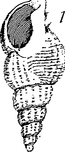 117/117040030003240_2.png
