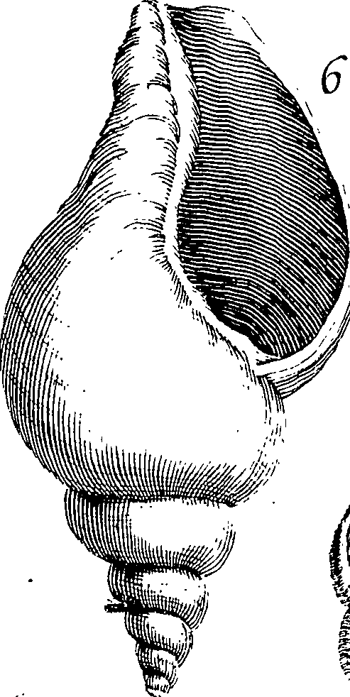 117/117040030003240_3.png