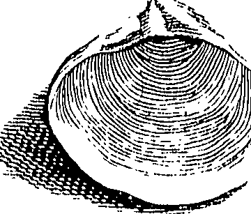 117/117040030003290_0.png