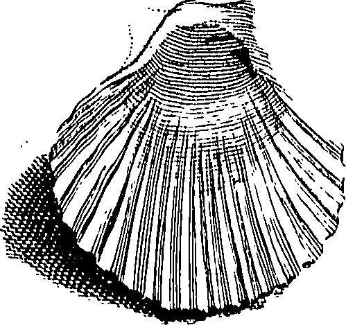 117/117040030003290_1.png