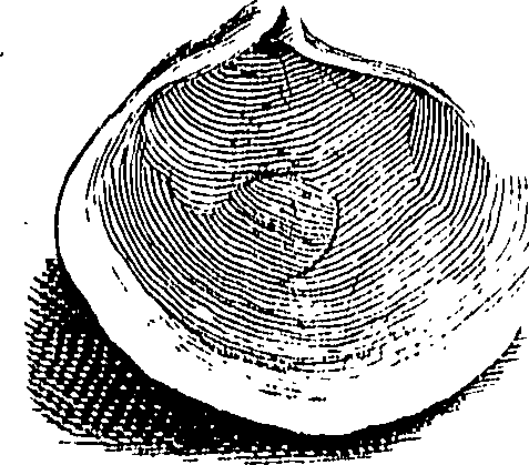 117/117040030003290_2.png