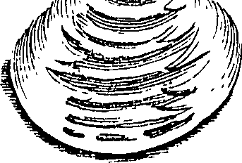 117/117040030003290_3.png